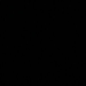 Meet your Posher, Annmarie